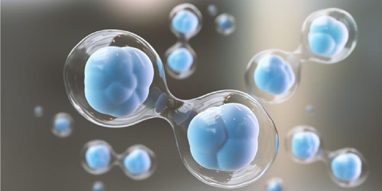 🧬 Regenoterapia® – o nouă paradigmă în medicina regenerativă