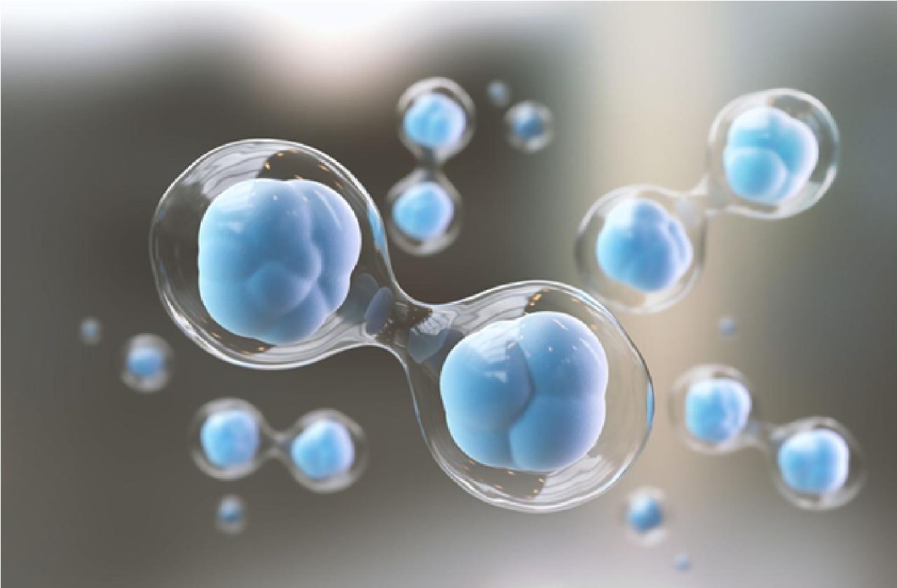 🧬 Regenoterapia® – o nouă paradigmă în medicina regenerativă